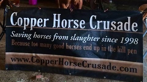 Friday Standing Ovation by Ovation Riding: Copper Horse Crusade