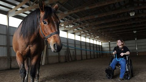 Injury won't stop woman's crusade to rescue horses