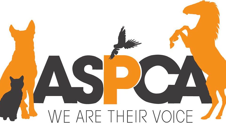 breathtaking aspca logo 63 for your logo with aspca logo
