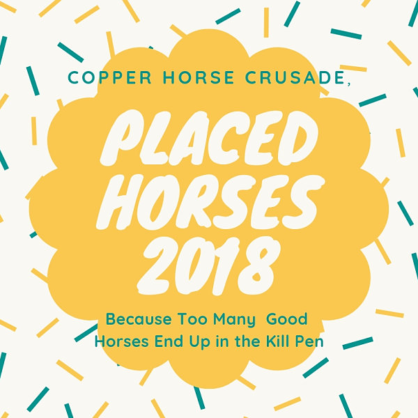 Placed Horses 2018